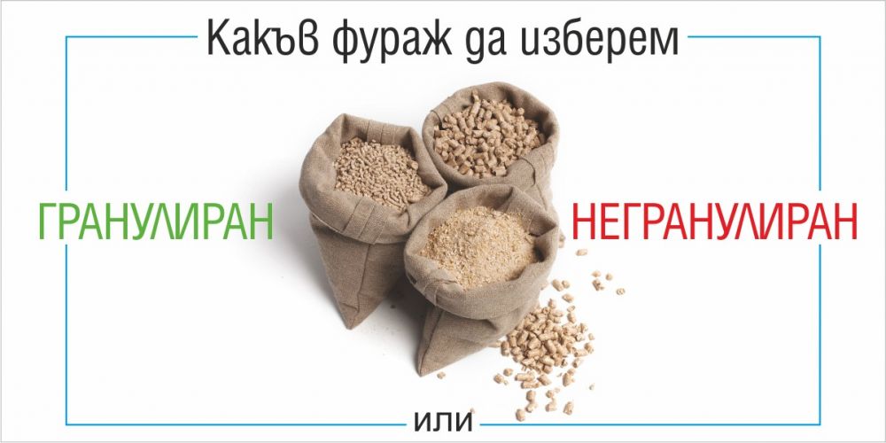 Какъв фураж да изберем - гранулиран или негранулиран?