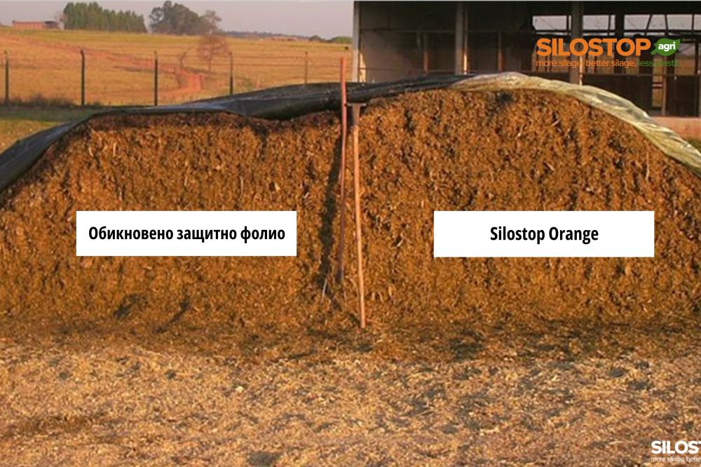 Знаеш ли колко ти струват видимите и невидими загуби в силажа? 21