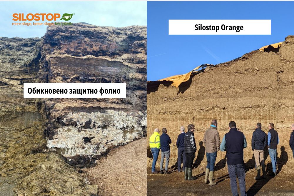 Знаеш ли колко ти струват видимите и невидими загуби в силажа? 22