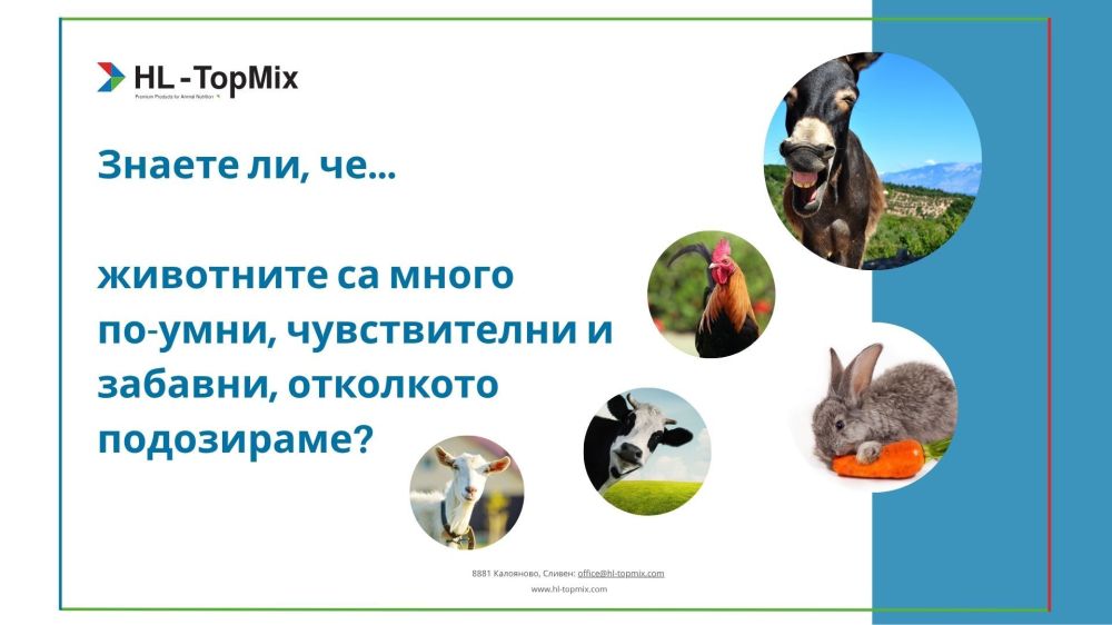 Знаете ли, че… животните са много по-умни, чувствителни и забавни, отколкото подозираме?